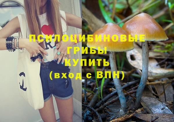 2c-b Баксан