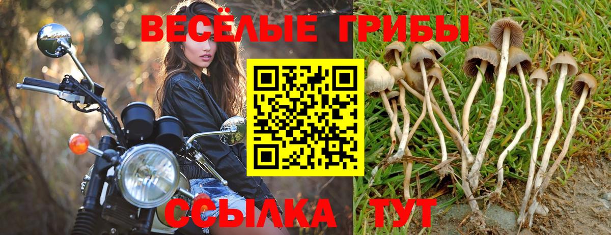 Каннабис Бутурлиновка