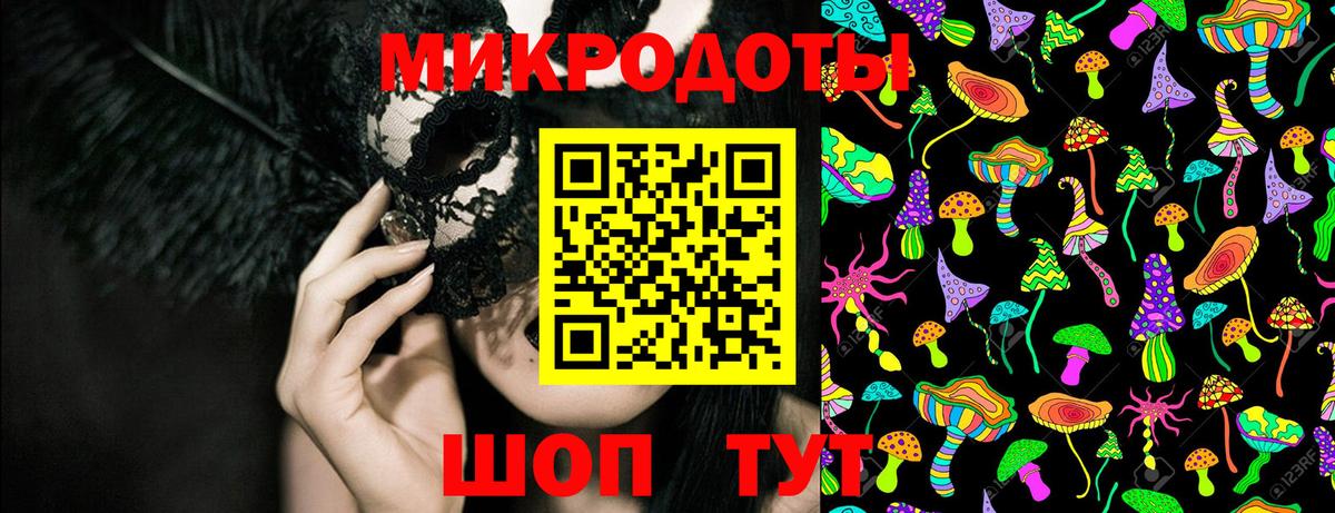 Псилоцибиновые грибы Psilocybine cubensis Бутурлиновка