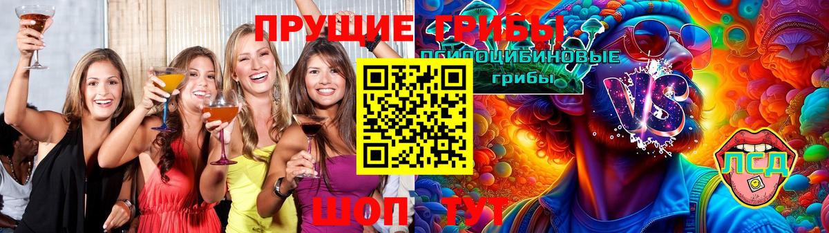 Бутурлиновка  Галлюциногенные грибы мицелий  Вход с VPN  Галлюциногенные грибы Psilocybe 
