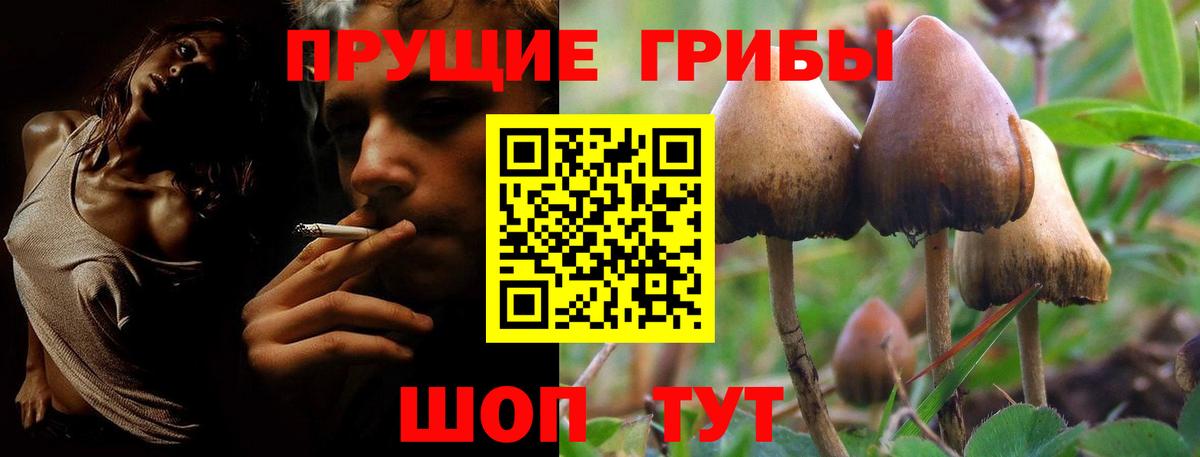 Псилоцибиновые грибы прущие грибы Бутурлиновка